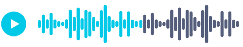 audio 2